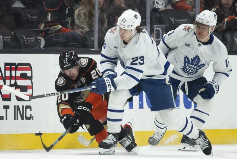 Auston Matthews förlängda höjdpunkter hjälper Maple Leafs att besegra Heim Ducks